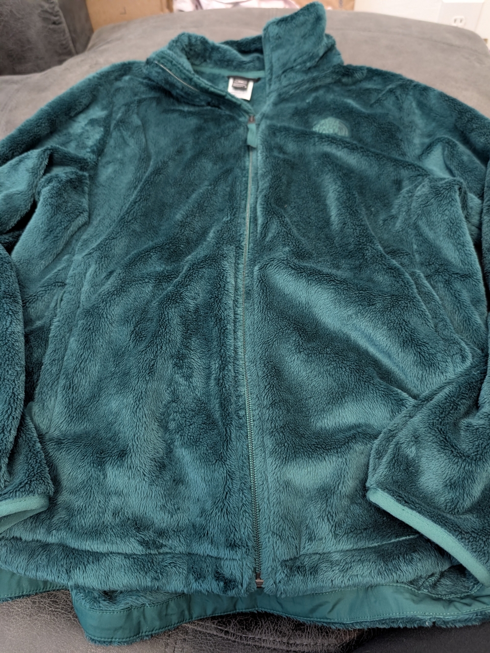 The North Face Plush Full-Zip Jacket in Emerald Green